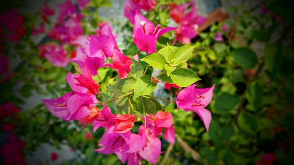 Transformation d'un Logement Historique : Tout ce que Vous Devez Savoir