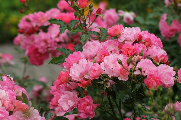 Top 5 paniers de rangement bébé tendance pour une chambre chic