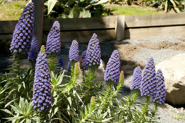 Portails battants en aluminium : personnalisation, prix et livraison